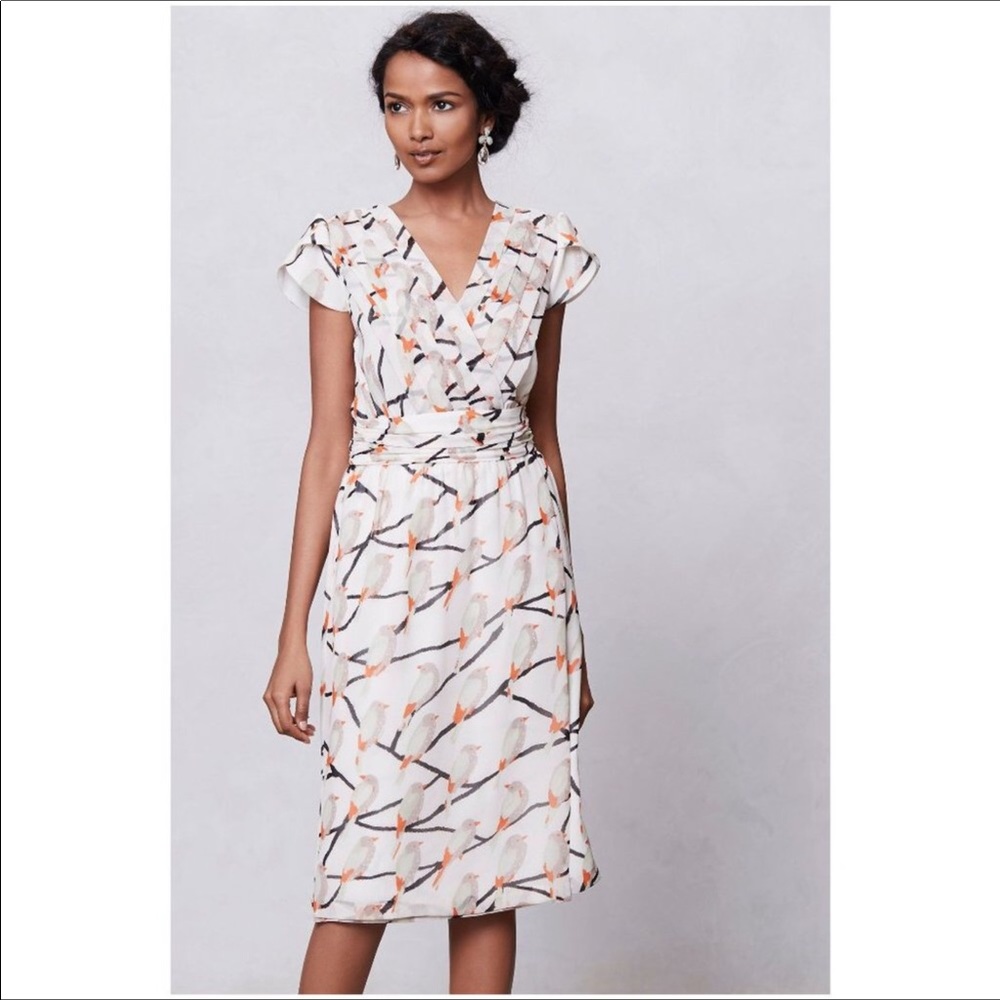 Erin Fetherston Anthropology dress